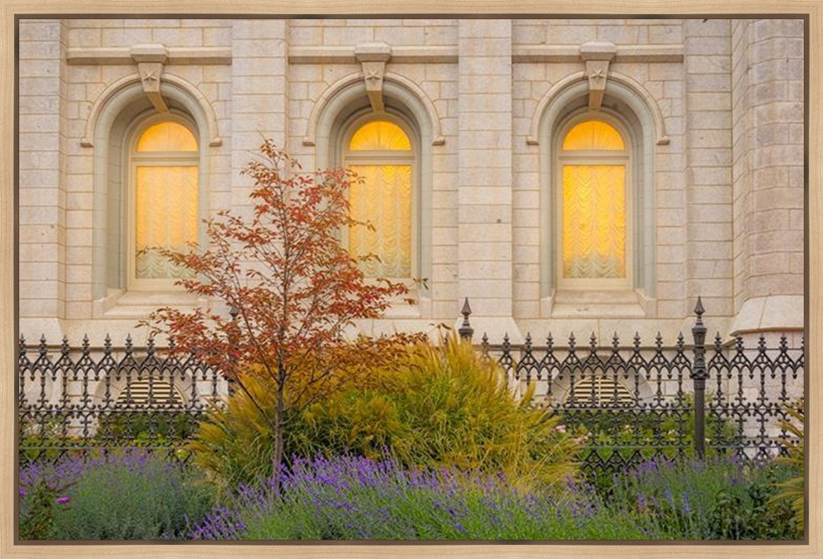 Salt Lake Autumn Detail Gallery Wrap