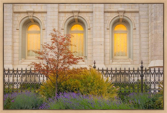 Salt Lake Autumn Detail