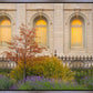 Salt Lake Autumn Detail
