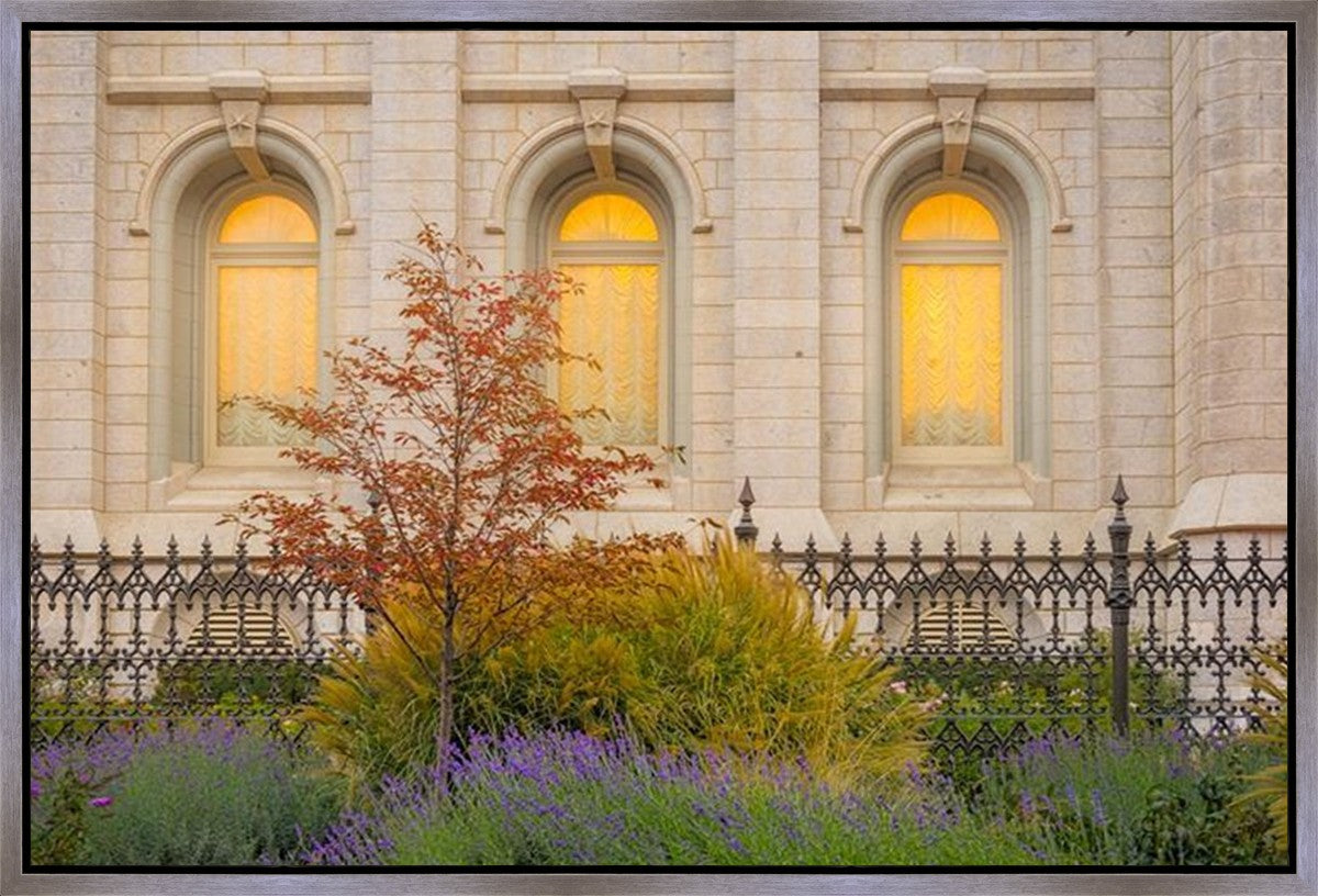 Salt Lake Autumn Detail Gallery Wrap