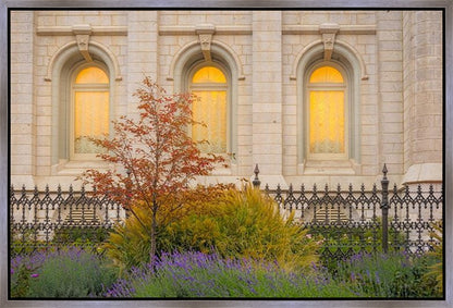 Salt Lake Autumn Detail