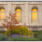 Salt Lake Autumn Detail
