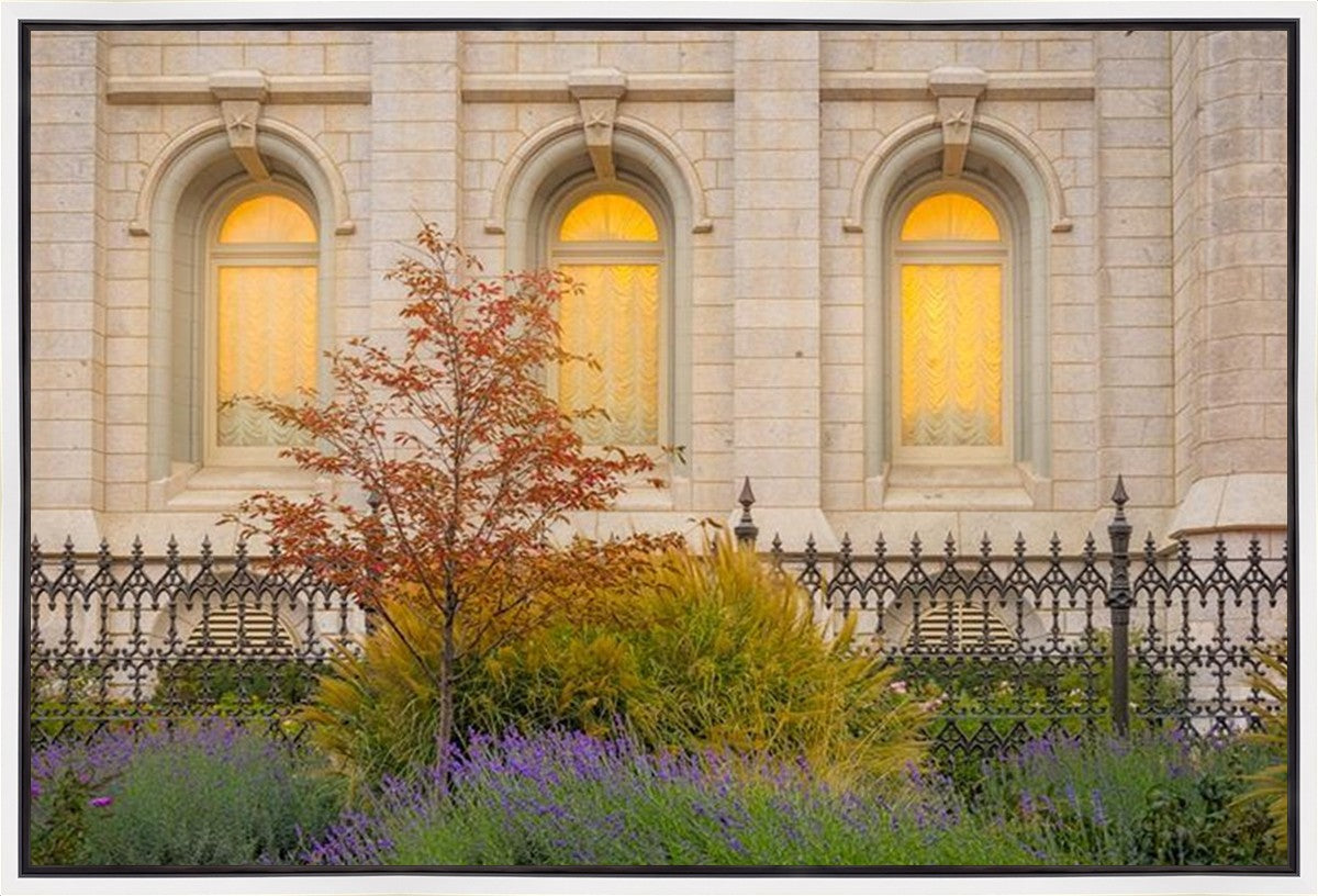 Salt Lake Autumn Detail Gallery Wrap