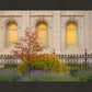 Salt Lake Autumn Detail