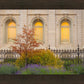 Salt Lake Autumn Detail