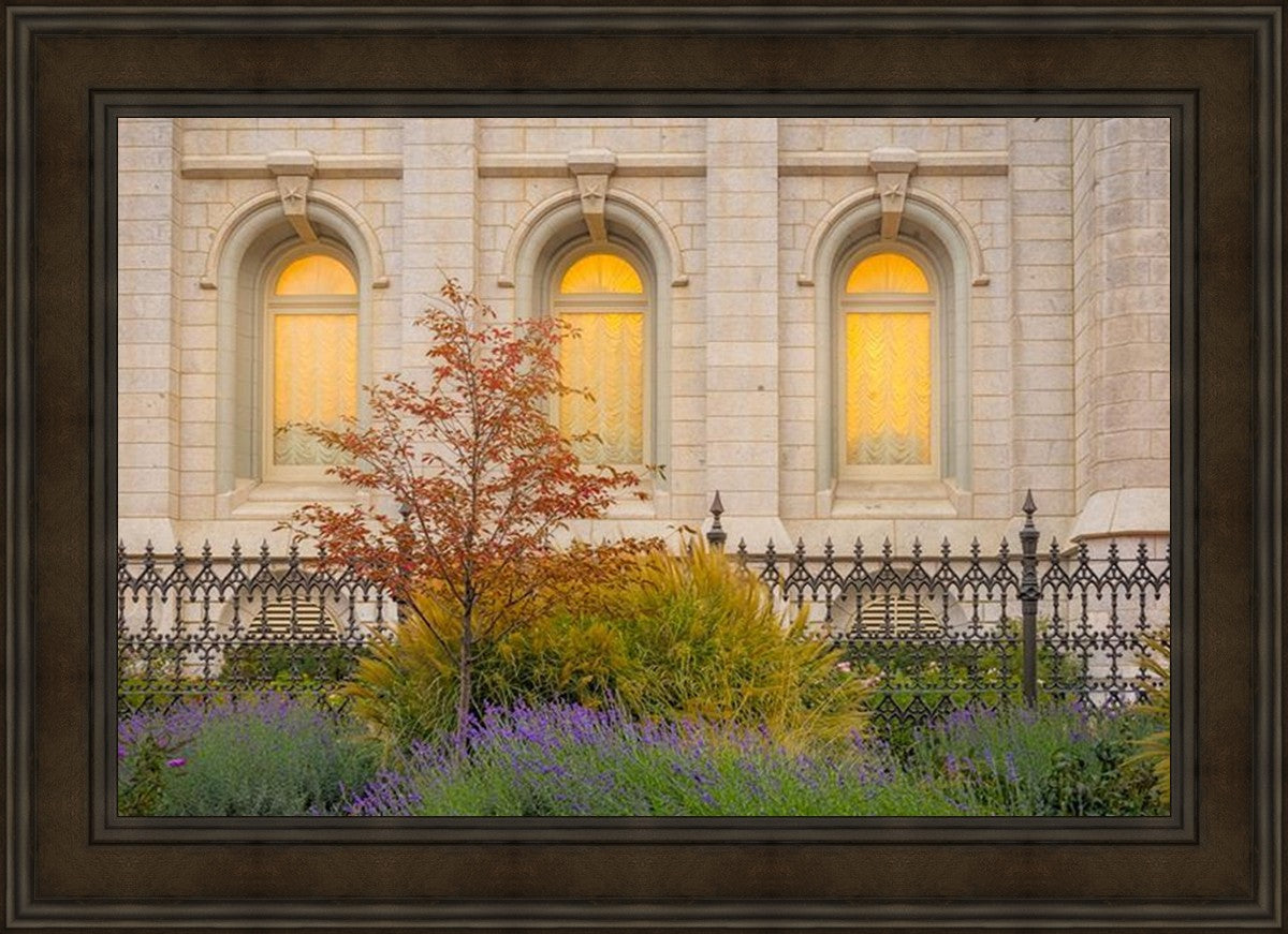 Salt Lake Autumn Detail