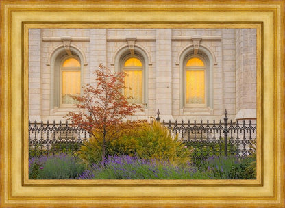 Salt Lake Autumn Detail