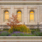 Salt Lake Autumn Detail