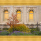 Salt Lake Autumn Detail