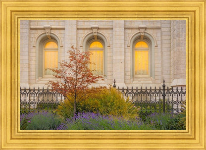 Salt Lake Autumn Detail