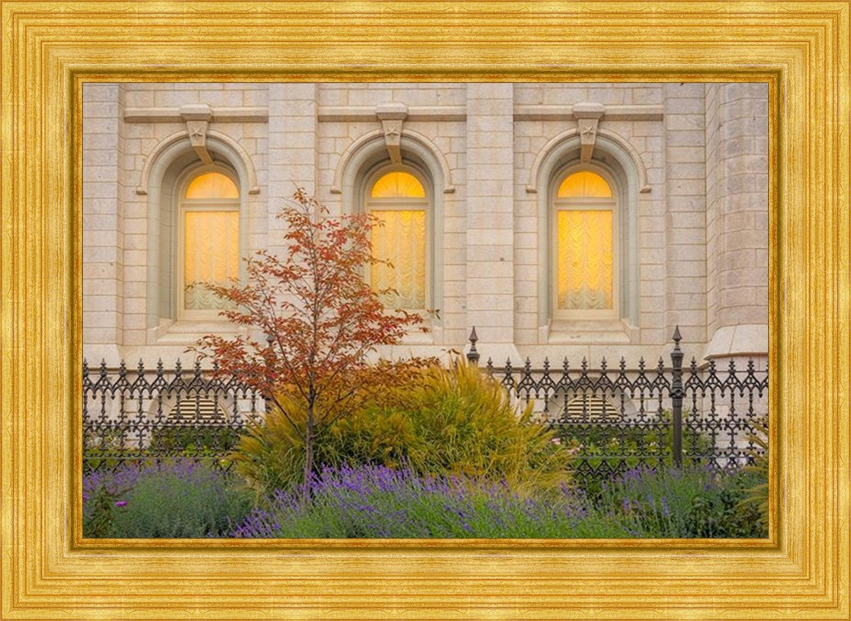 Salt Lake Autumn Detail