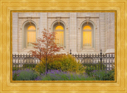 Salt Lake Autumn Detail