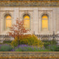 Salt Lake Autumn Detail