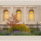 Salt Lake Autumn Detail