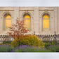 Salt Lake Autumn Detail