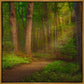 Sacred Grove Gallery Wrap