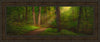 Sacred Grove