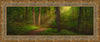 Sacred Grove