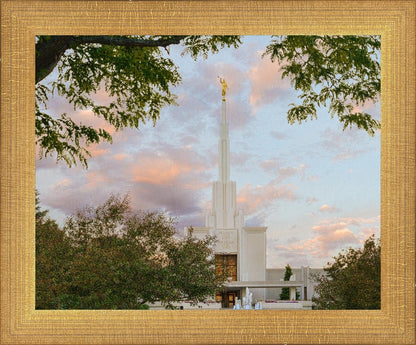 Denver Temple 01