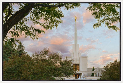 Denver Temple 01