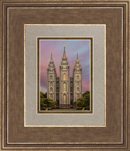 Salt Lake Mountain Of The Lord