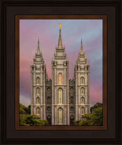 Salt Lake Mountain Of The Lord