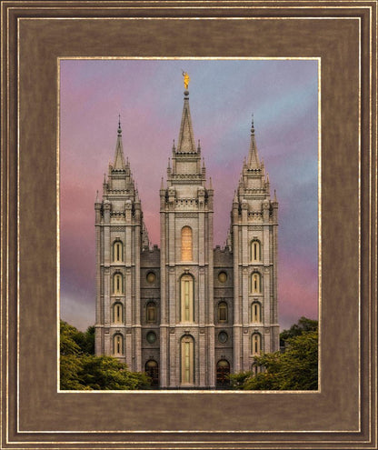 Salt Lake Mountain Of The Lord