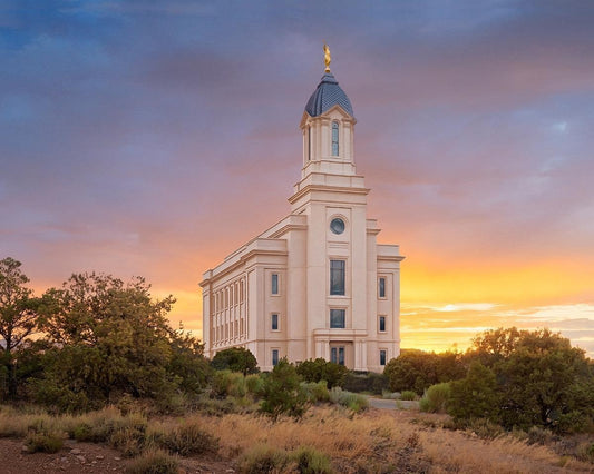 Cedar City Genesis Gallery Wrap