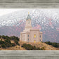 Cedar City Hillside