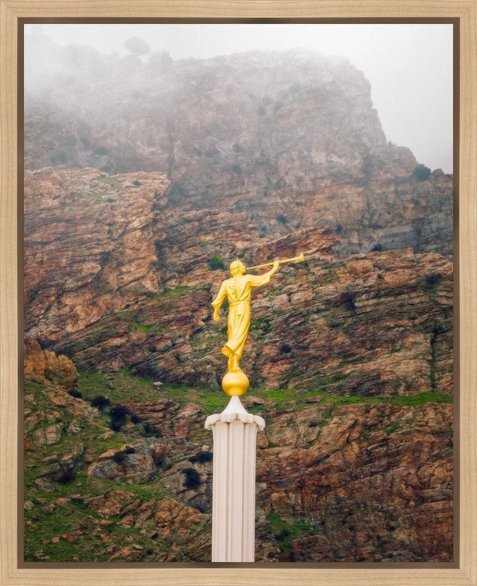 Provo Firm Foundation