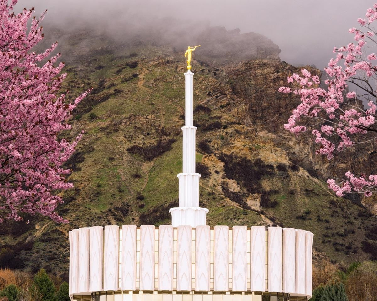 Provo Oncoming Storm Gallery Wrap