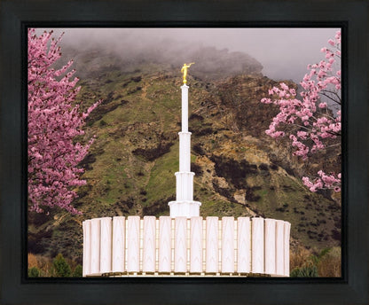 Provo Oncoming Storm Gallery Wrap