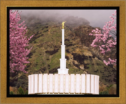 Provo Oncoming Storm Gallery Wrap