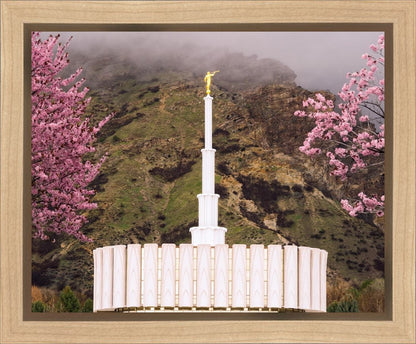 Provo Oncoming Storm Gallery Wrap