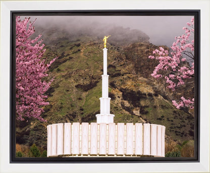 Provo Oncoming Storm Gallery Wrap