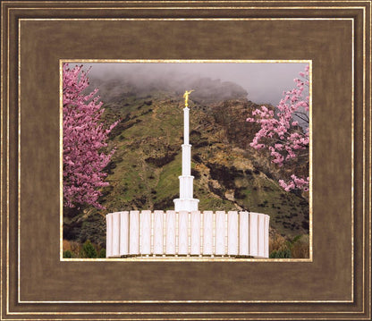 Provo Oncoming Storm