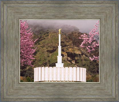 Provo Oncoming Storm