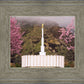 Provo Oncoming Storm