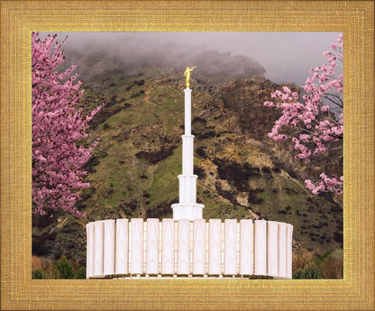 Provo Oncoming Storm