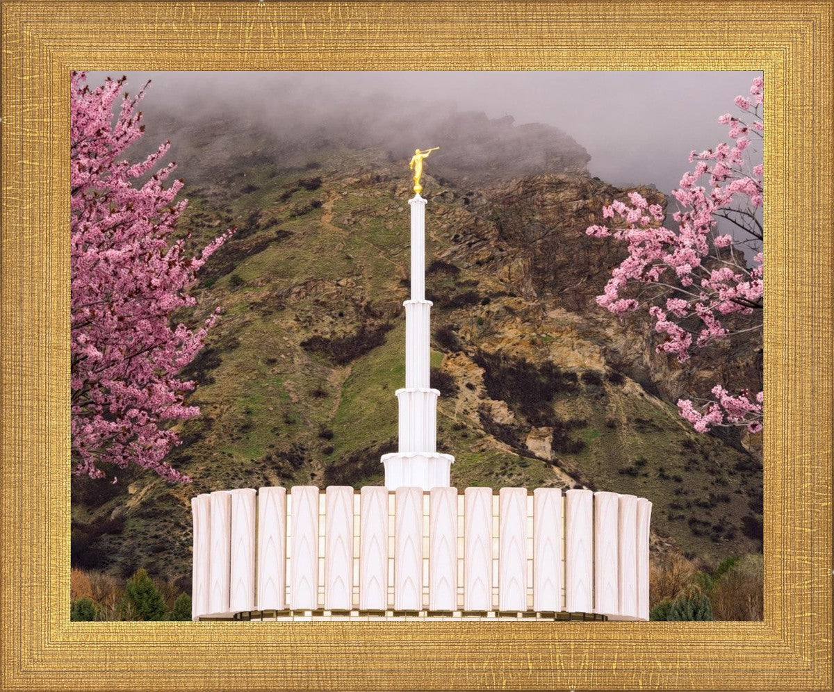 Provo Oncoming Storm