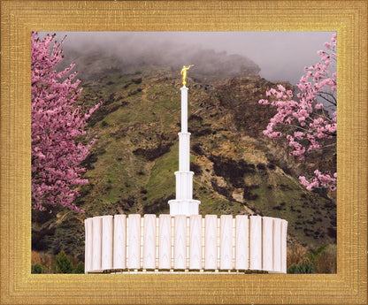 Provo Oncoming Storm