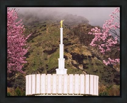 Provo Oncoming Storm Gallery Wrap