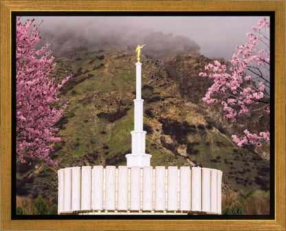 Provo Oncoming Storm Gallery Wrap