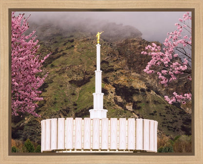 Provo Oncoming Storm Gallery Wrap