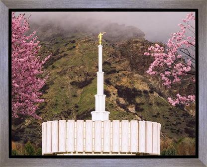 Provo Oncoming Storm Gallery Wrap