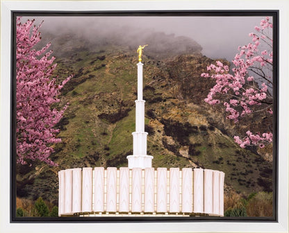 Provo Oncoming Storm Gallery Wrap