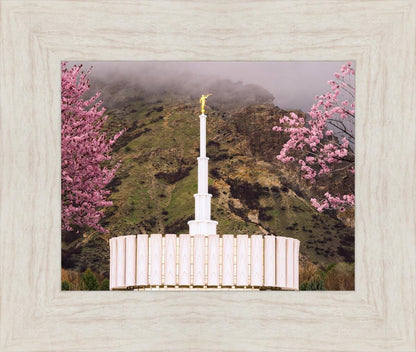 Provo Oncoming Storm