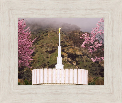 Provo Oncoming Storm