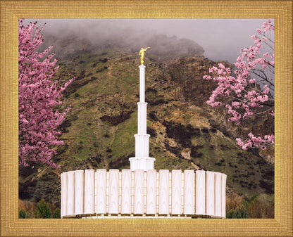 Provo Oncoming Storm