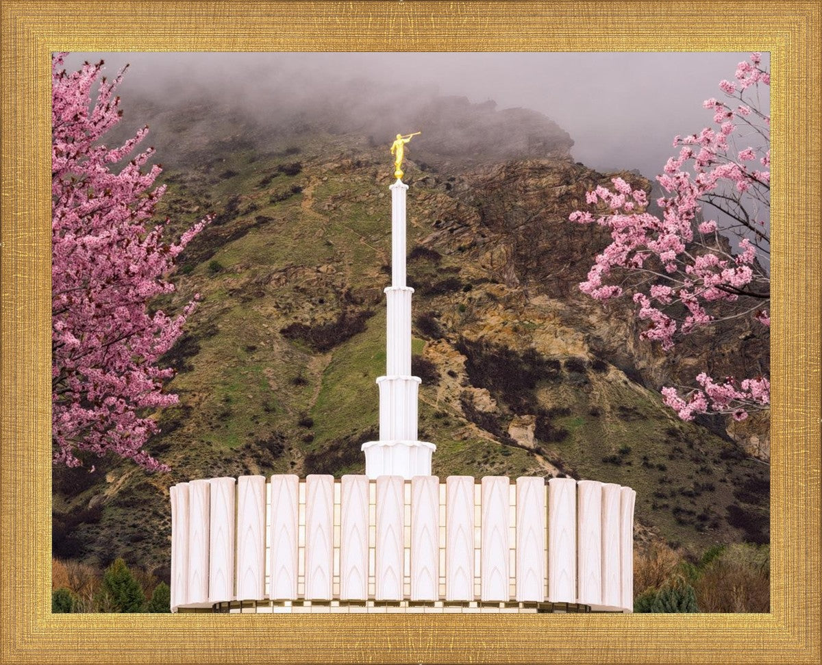 Provo Oncoming Storm